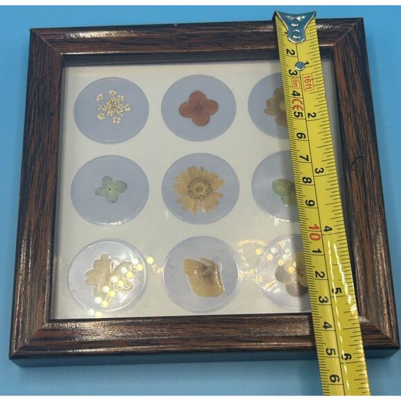 Vintage Small Dried Pressed Flowers In Frame Wall Hanging Decor 6” Square - Picture 5 of 6